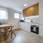 Rent 2 bedroom apartment of 65 m² in Porto