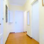 Rent 4 bedroom apartment of 6 m² in Barcelona