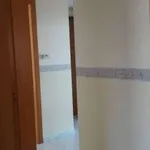 Appartamento arredato con terrazzo Centro