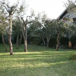 Single family villa via del Fiordaliso, Ansedonia, Orbetello