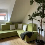 Rent 1 bedroom apartment of 60 m² in Prague