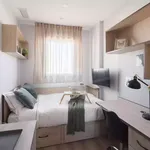 Alquilar 20 dormitorio apartamento en Madrid