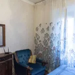 Rent 1 bedroom apartment in rome