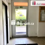 Rent 1 bedroom apartment of 36 m² in Ústí nad Labem