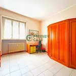 Rent 2 bedroom apartment of 55 m² in Turin