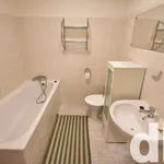 Rent 1 bedroom apartment in Karlovy Vary