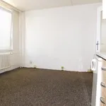 Rent 1 bedroom apartment of 28 m² in Capital City of Prague