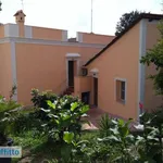 Rent 2 bedroom house of 50 m² in Rome