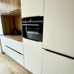 Rent 4 bedroom house of 185 m² in den-haag