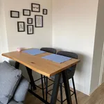 Rent 1 bedroom apartment of 50 m² in Kiel