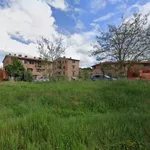 Affitto 3 camera appartamento di 70 m² in Castelnuovo Berardenga