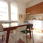 Rent 1 bedroom apartment of 100 m² in Budapest