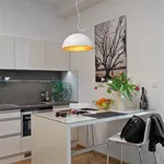 Rent 1 bedroom apartment of 60 m² in Praha 2