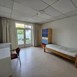 Rent 1 bedroom apartment of 12 m² in middelburg