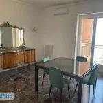 Appartamento arredato con terrazzo Centro