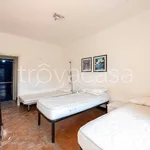 Rent 3 bedroom apartment of 80 m² in Genova