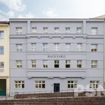 Rent 1 bedroom apartment of 23 m² in Praha