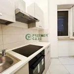 Rent 2 bedroom apartment of 45 m² in Turin