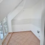 Rent 2 bedroom apartment of 47 m² in Chemnitz