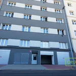 Rent 3 bedroom apartment of 100 m² in Capital City of Prague