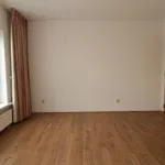 Rent 4 bedroom house of 217 m² in groningen