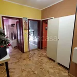 Rent 3 bedroom apartment of 65 m² in Padova