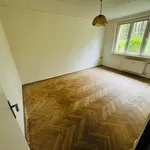 Pronájem bytu 2+1 49m²