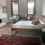 Rent 1 bedroom apartment of 30 m² in Ferrara