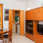 Rent 1 bedroom apartment of 55 m² in milan