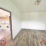 Rent 1 bedroom apartment of 37 m² in Děčín