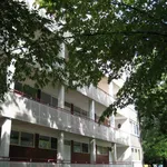 Rent 2 bedroom apartment of 61 m² in Dortmund