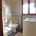 Rent 4 bedroom apartment of 90 m² in Pisa