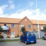 Rent 1 bedroom house of 77 m² in Struer