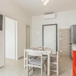 Rent 1 bedroom apartment in Bologna