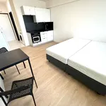 Rent 1 bedroom apartment in Praha 5