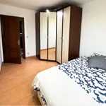 Alquilar 3 dormitorio apartamento en Bilbao