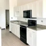 Rent 1 bedroom apartment in Chicago