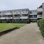 Huur 2 slaapkamer appartement van 75 m² in GEEL