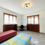 Rent 3 bedroom apartment of 88 m² in Collegno