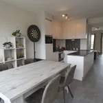 Rent 2 bedroom apartment in Gullegem