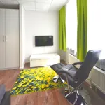 Miete 1 Schlafzimmer wohnung von 23 m² in Frankfurt