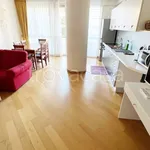 Rent 4 bedroom apartment of 100 m² in Padova