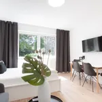 Rent 1 bedroom apartment of 33 m² in Essen