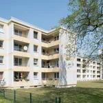 Rent 3 bedroom apartment of 70 m² in Göttingen