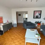 Rent 1 bedroom apartment in BREST