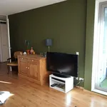 Rent 2 bedroom apartment of 78 m² in Amsterdam