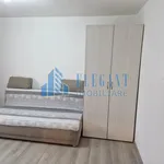 Rent 1 bedroom apartment in Lovnic