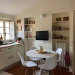 Rent 6 bedroom apartment of 140 m² in Lucca