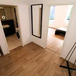 Rent 1 bedroom apartment in Brno