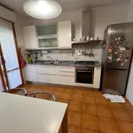 Rent 5 bedroom apartment of 130 m² in Massa